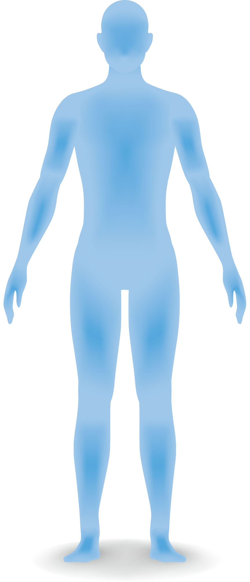 身体シルエット